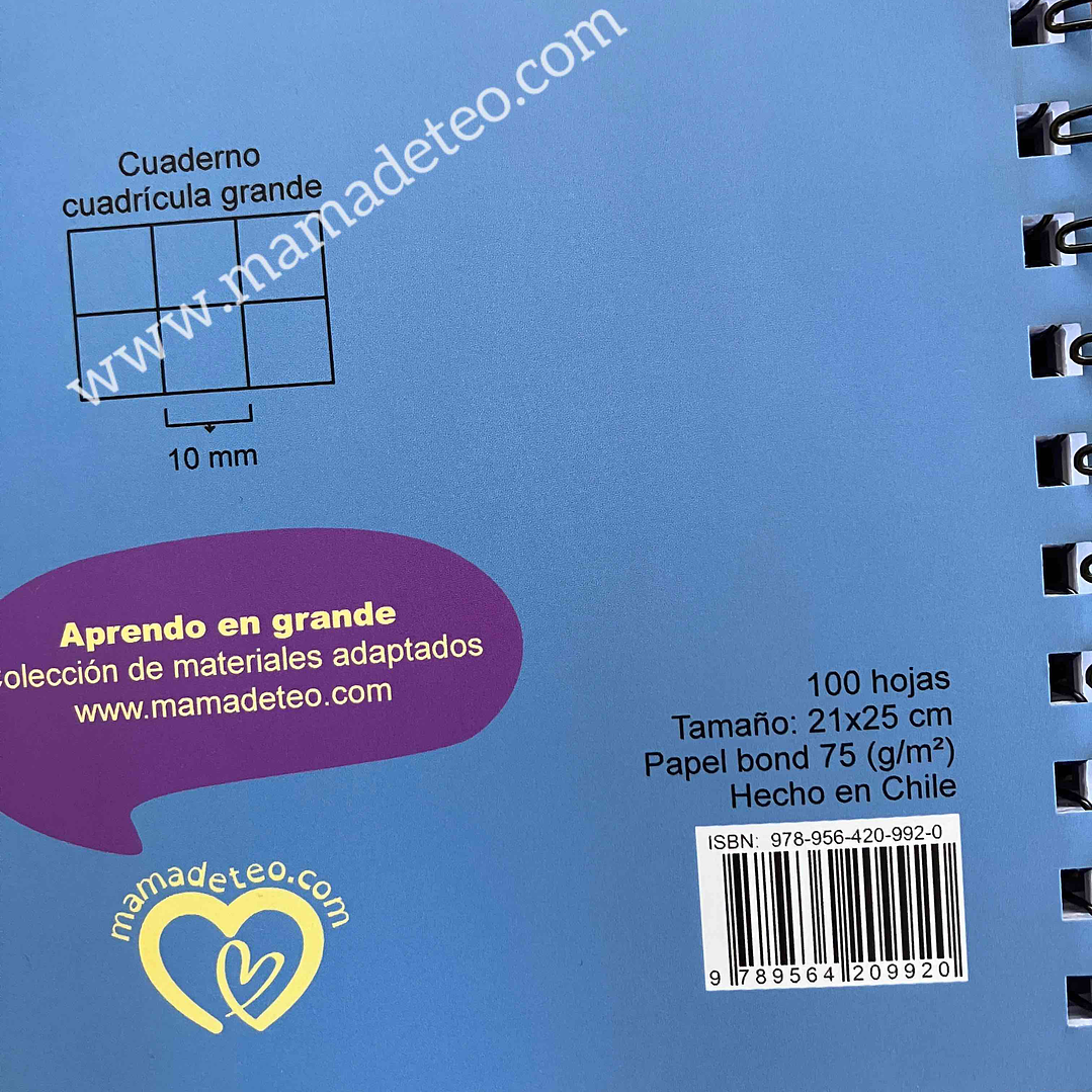 Pack: 8 Cuadernos universitarios cuadrícula grande 4