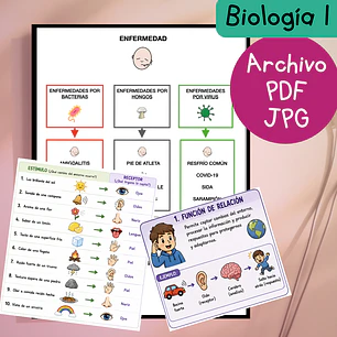 Guías de estudio adaptadas: Biología 1 (PDF gratuito)