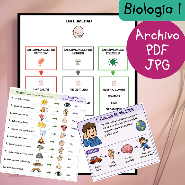Guías de estudio adaptadas: Biología 1 (PDF gratuito) 1