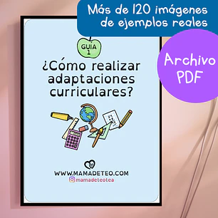 Guía para realizar adaptaciones curriculares 1 (descargable en PDF)