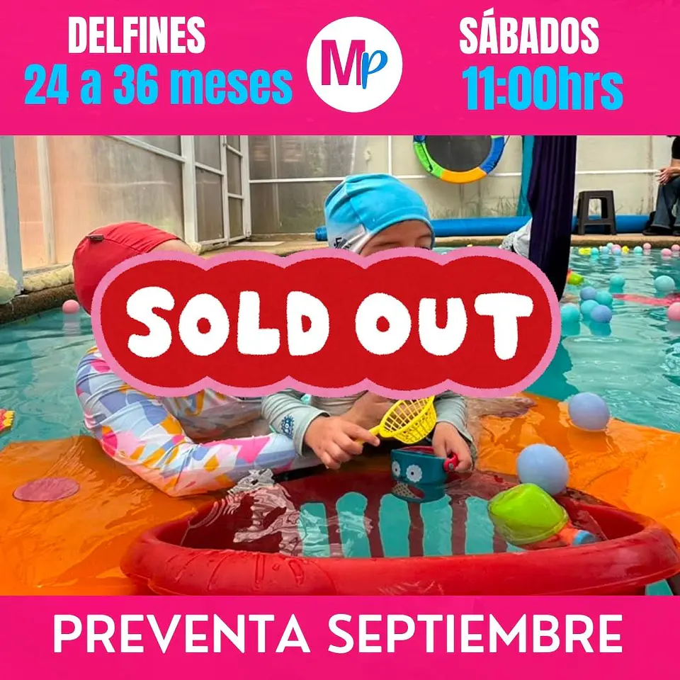 PREVENTA SEPTIEMBRE 24 A 36 MESES SABADOS 11:00 DELFINES REÑACA VIÑA DEL MAR 1