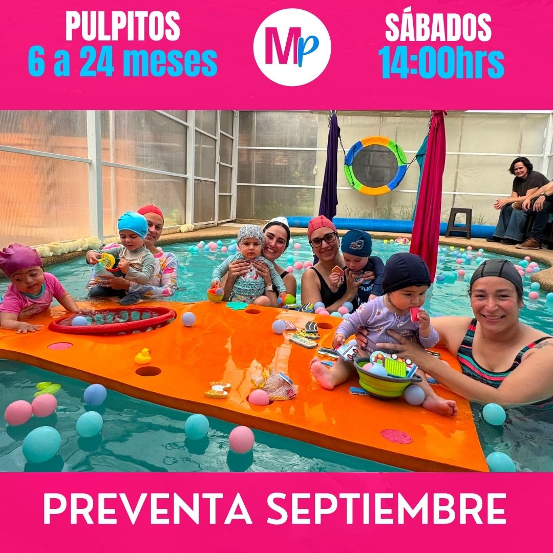 PREVENTA SEPTIEMBRE 06 A 24 MESES SABADOS 14:00 PULPITOS REÑACA VIÑA DEL MAR
