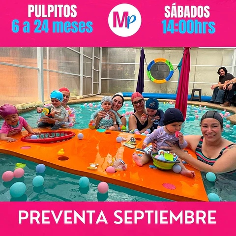 PREVENTA SEPTIEMBRE 06 A 24 MESES SABADOS 14:00 PULPITOS REÑACA VIÑA DEL MAR