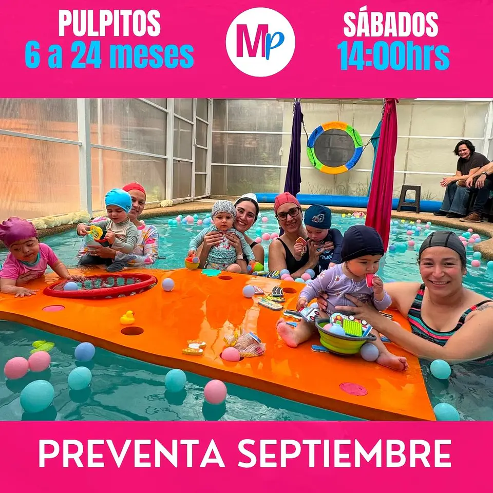 PREVENTA SEPTIEMBRE 06 A 24 MESES SABADOS 14:00 PULPITOS REÑACA VIÑA DEL MAR 1