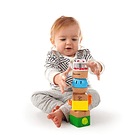 FOUR FUNDAMENTALS - BABY EINSTEIN