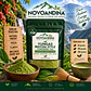 Yungas Matcha Style Powdered Tea - thumbnail 2