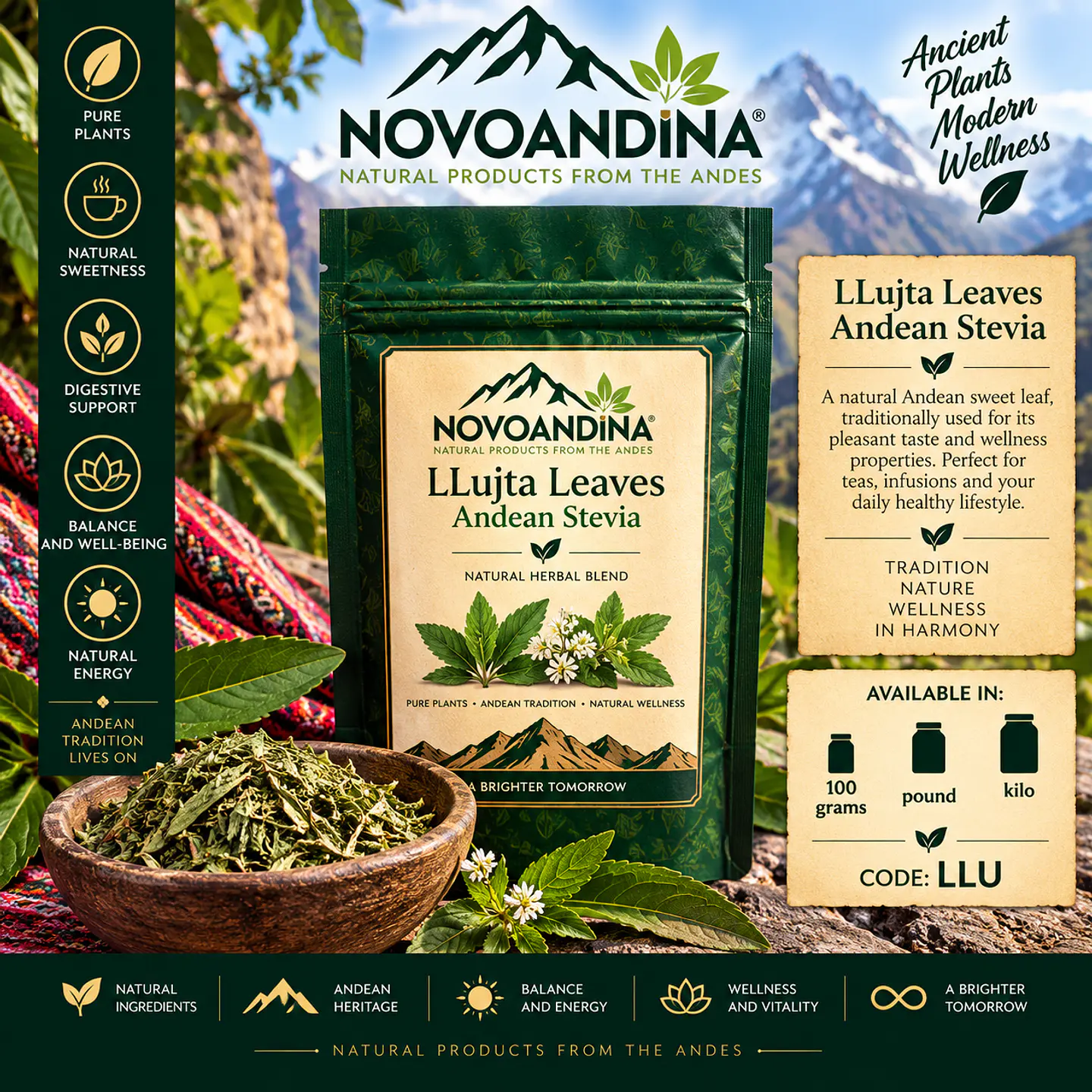 LLujta Leaves, Andean Stevia 1