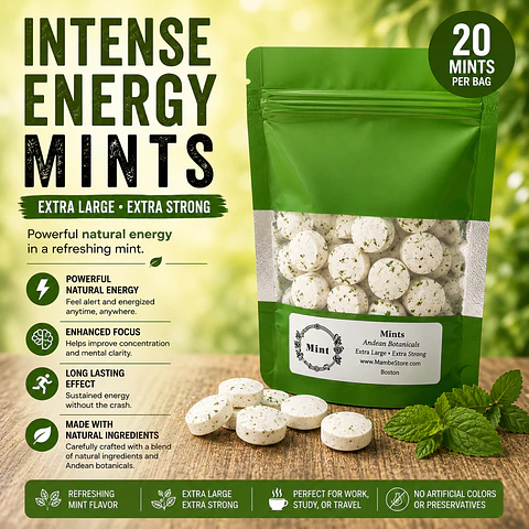Intense Energy - Focus Mints 20 ct. ( extra large)