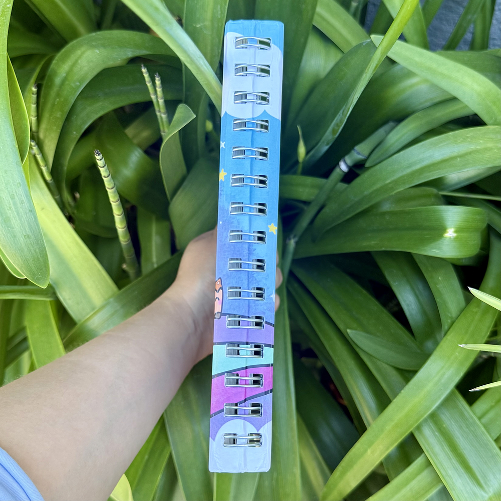 PREVENTA 1 Libro "El Pequeño Principe" 2da Edición