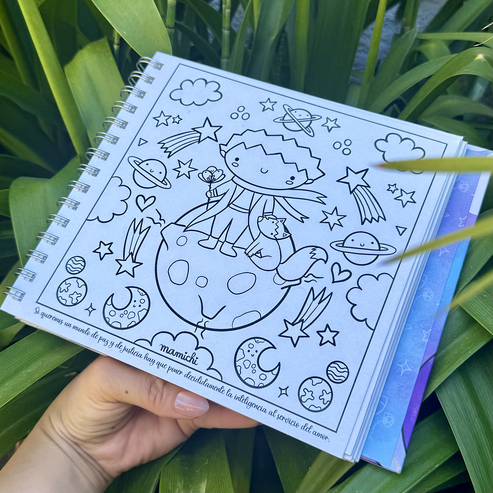 PREVENTA 1 Libro "El Pequeño Principe" 2da Edición