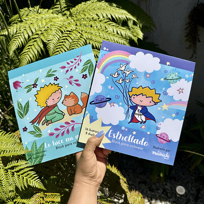 Pack 2 Blocks, El Pequeño Principe, por Mamichi