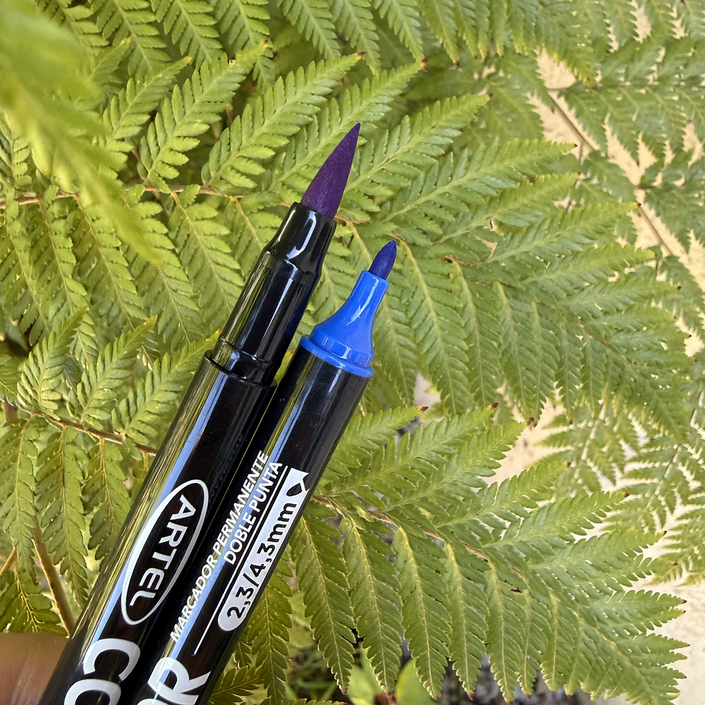 COLOR, marcadores doble punta en base al agua.