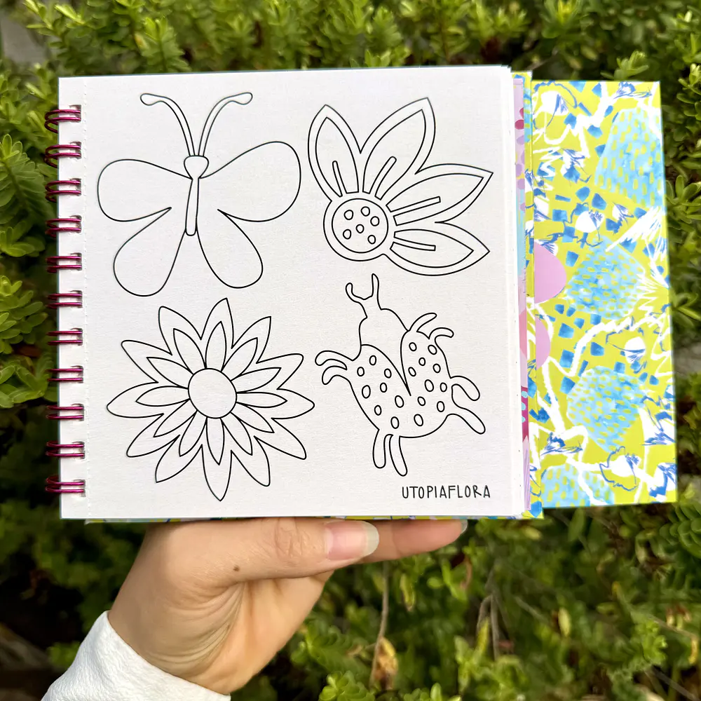 Kiwi 2da edición, Flora Droppelmann