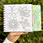 Kiwi 2da edición, Flora Droppelmann