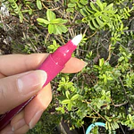 24 marcadores glitter metálicos, OHUHU, punta gruesa 3.0mm.