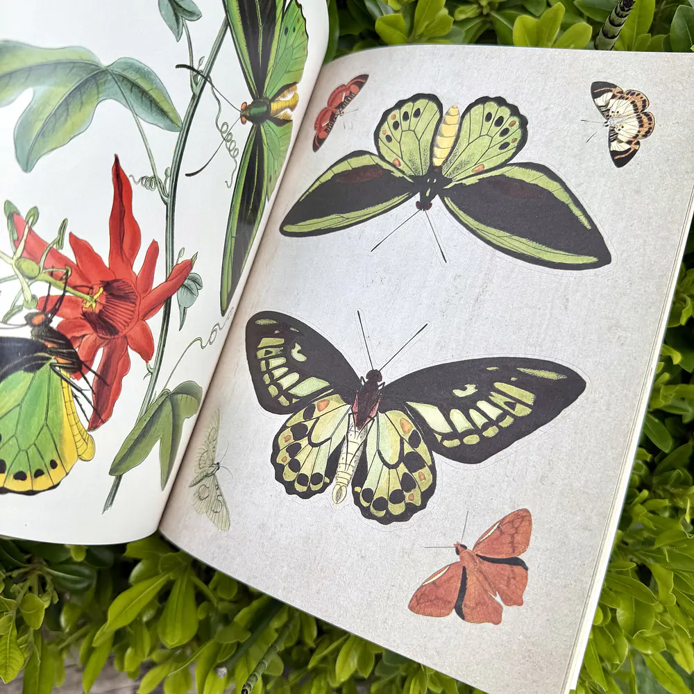 Collage Book, The Botanical Muse, Grabie.