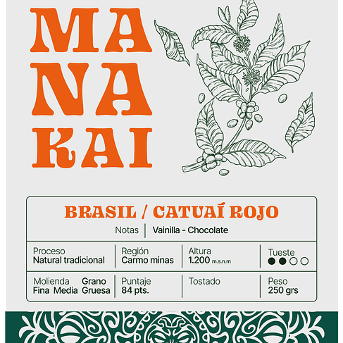 Brasil Carmo Minas 2