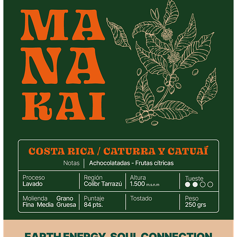 Costa Rica Colibrí Tarrazú 2