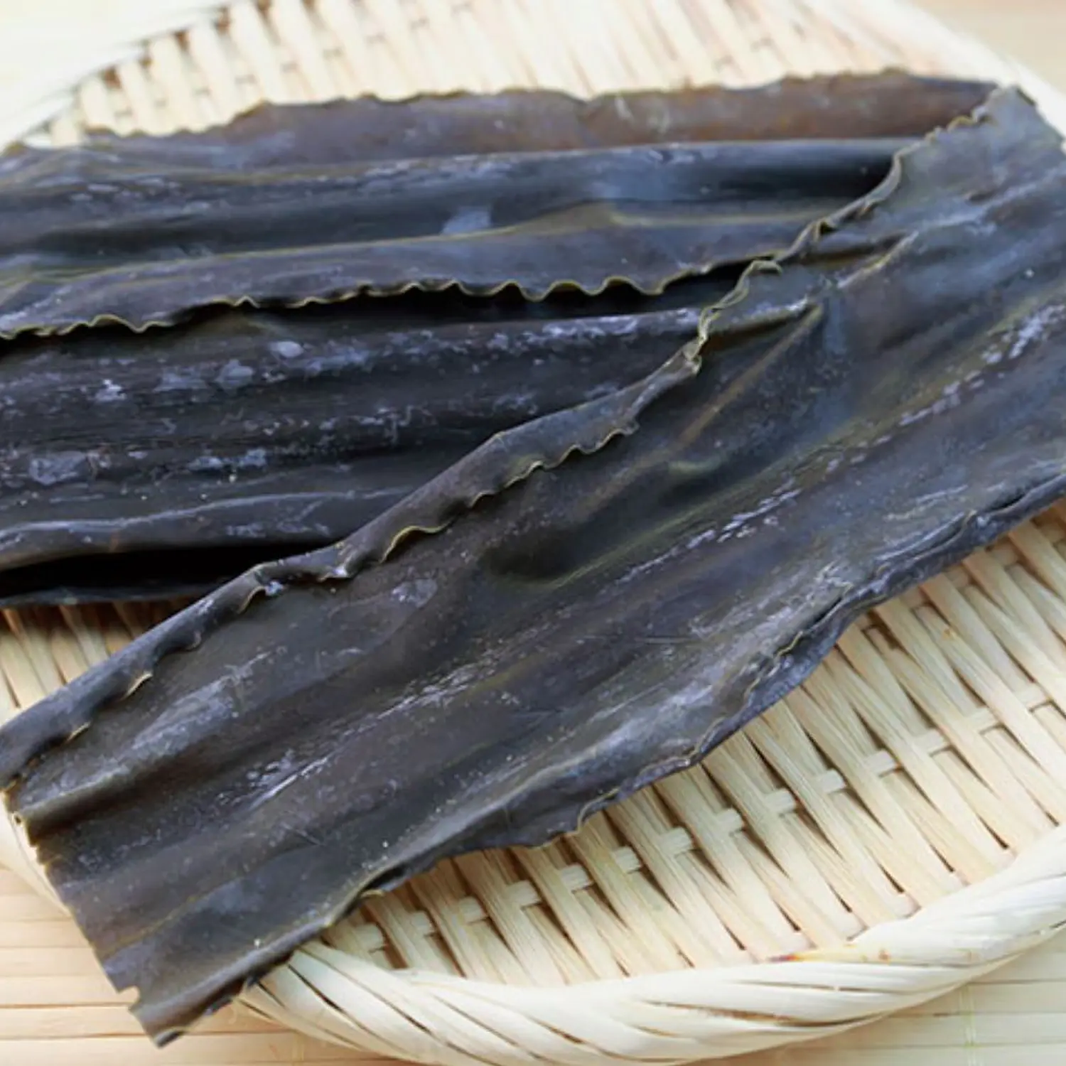 Alga Kombu 