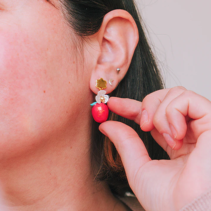 Aros Manzana 2
