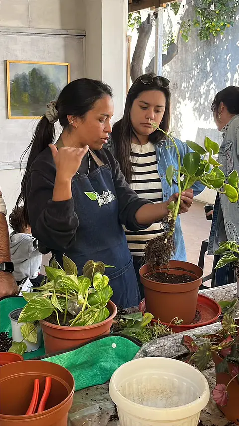 ASESORIA COMPLETA