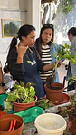 ASESORIA COMPLETA - Miniatura 1