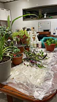 ASESORIA COMPLETA - Miniatura 2