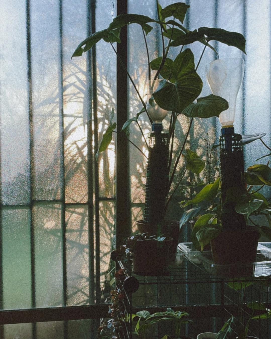 Ser naturaleza en invierno