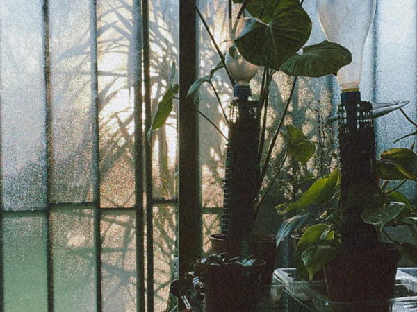 Ser naturaleza en invierno