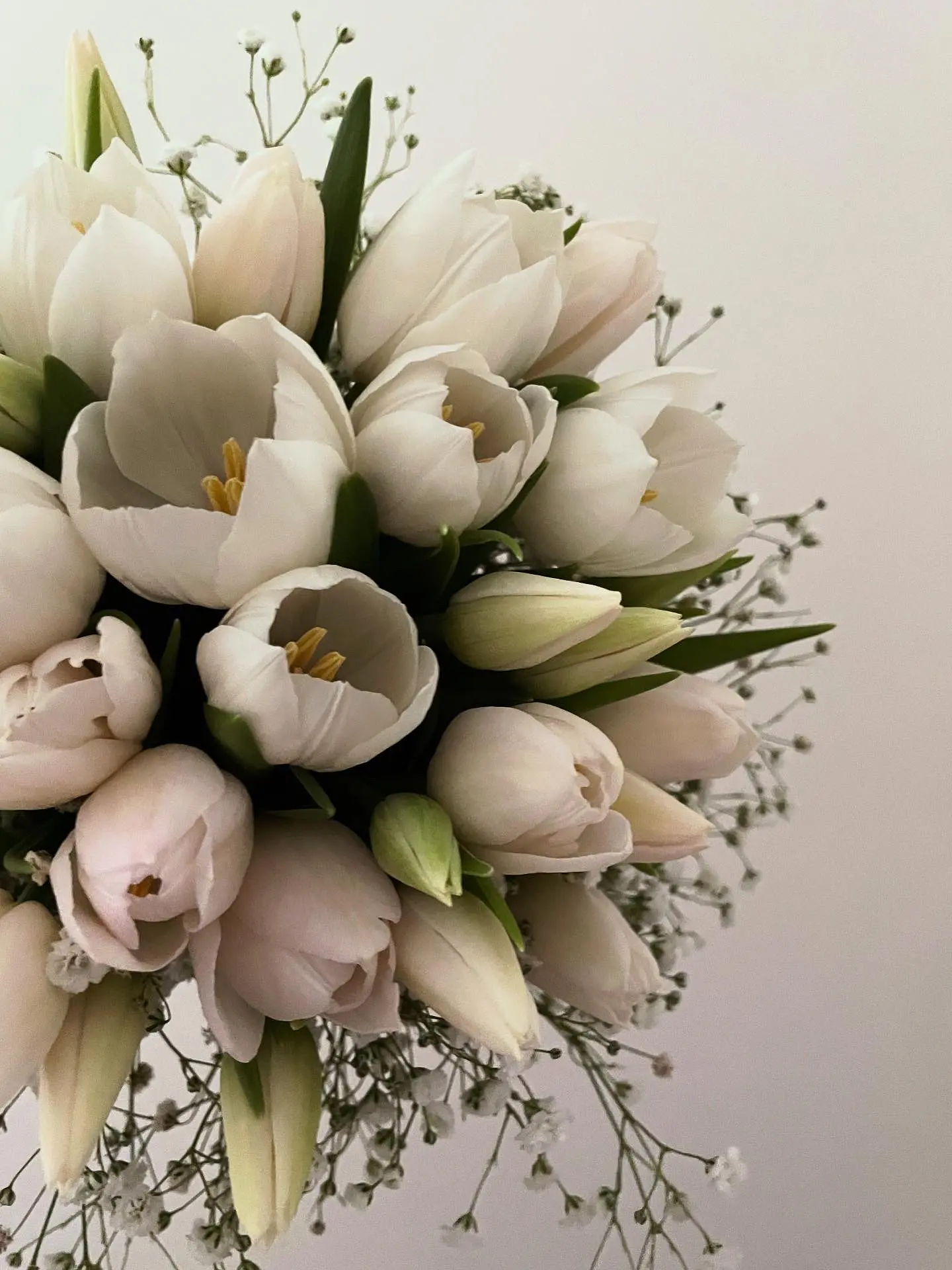 Ramo de Novia Bouquet de Tulipanes. 1