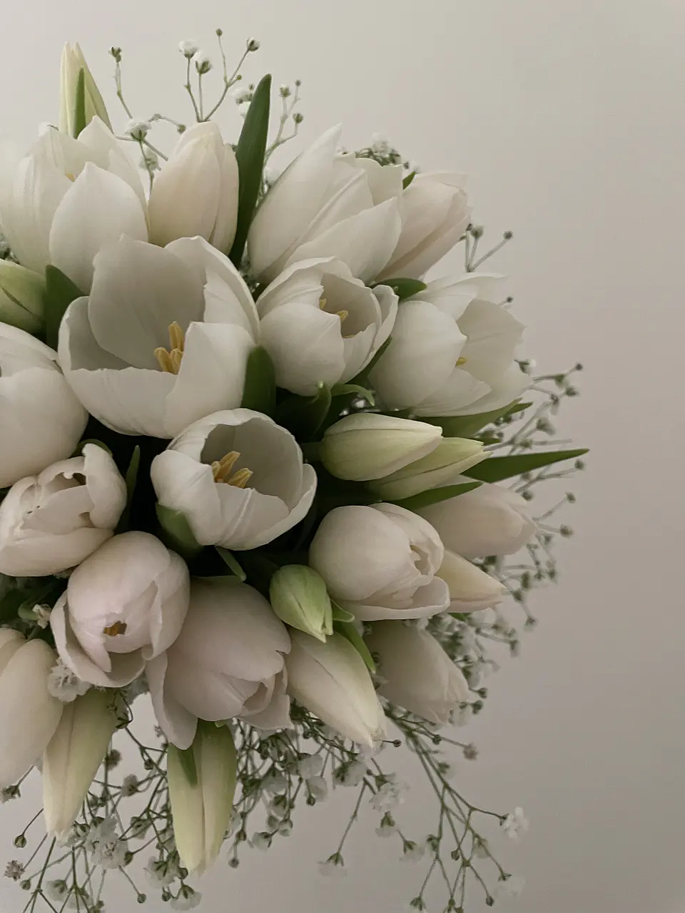 Ramo de Novia Bouquet de Tulipanes. 3