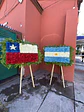 Bandera Institucional. - Miniatura 1