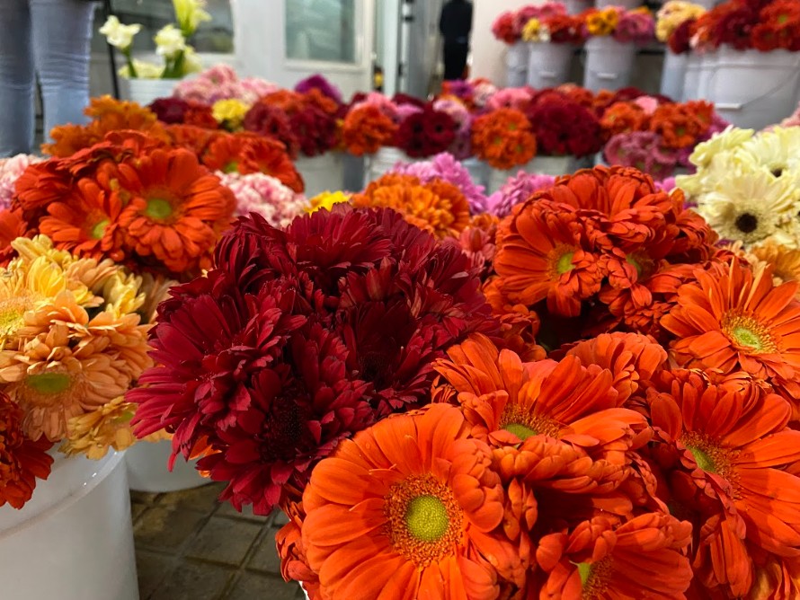 Bienvenido Otoño 2026: Tendencias en diseño floral, paisajismo y decoración para esta temporada.