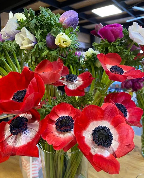 Servicio de Suscripción floral.