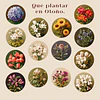 El Secreto del Jardín Perfecto: Qué plantar en Otoño (Guía experta de tu Florista).