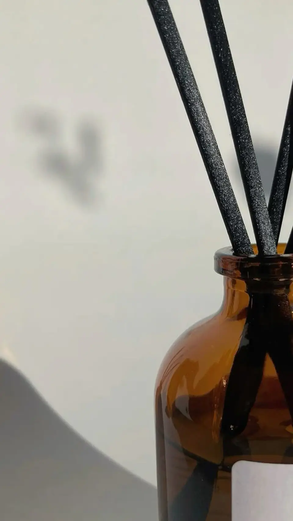 Difusor de Ambientes con Varitas. 100mL 2