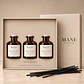 Esencia de Marca | Aromas Corporativos Personalizados - Miniatura 3