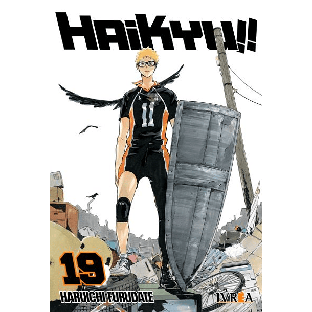 Haikyu!! 19