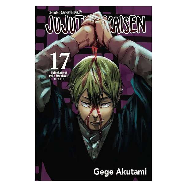 Jujutsu Kaisen 17