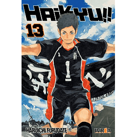 Haikyu!! 13