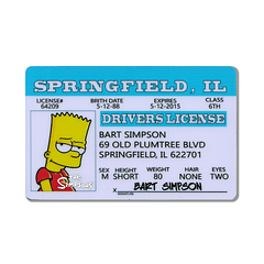 THE SIMPSONS - BART