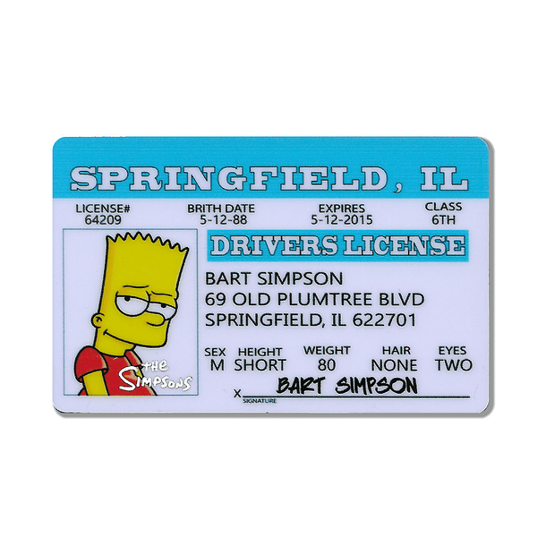 THE SIMPSONS - BART 1