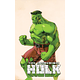 MARVEL VS CAPCOM: INCREDIBLE HULK #4