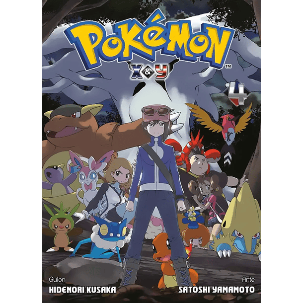 POKEMON ADVENTURES X-Y 04