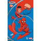 SUPERMAN / SPIDERMAN 01 2