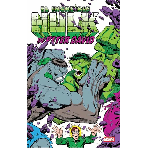EL INCREIBLE HULK DE PETER DAVID 02