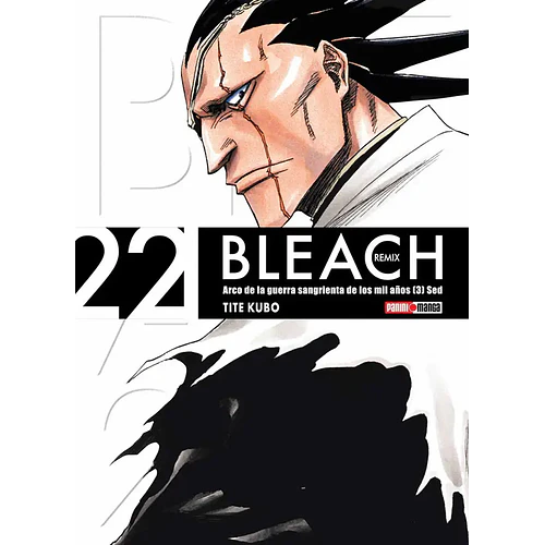 BLEACH REMIX 22
