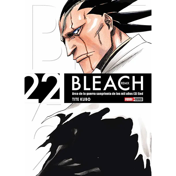 BLEACH REMIX 22