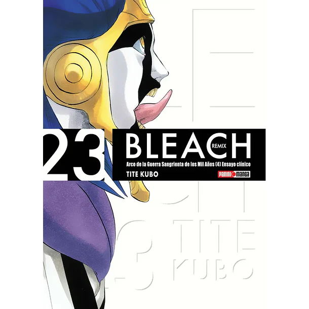 BLEACH REMIX 23