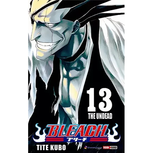 BLEACH  13